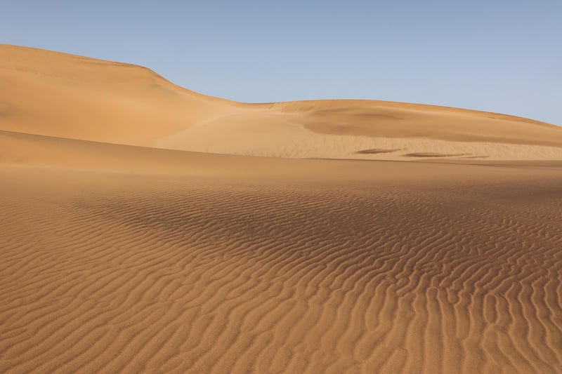 Desert Oasis